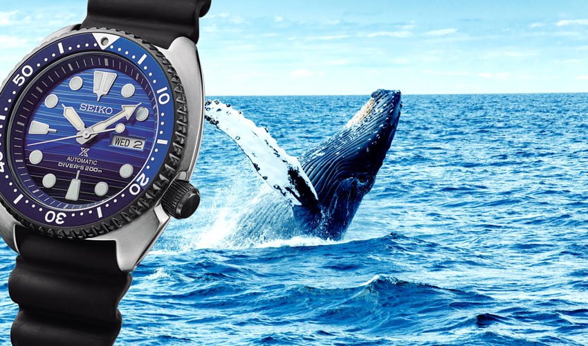seiko kautschukband