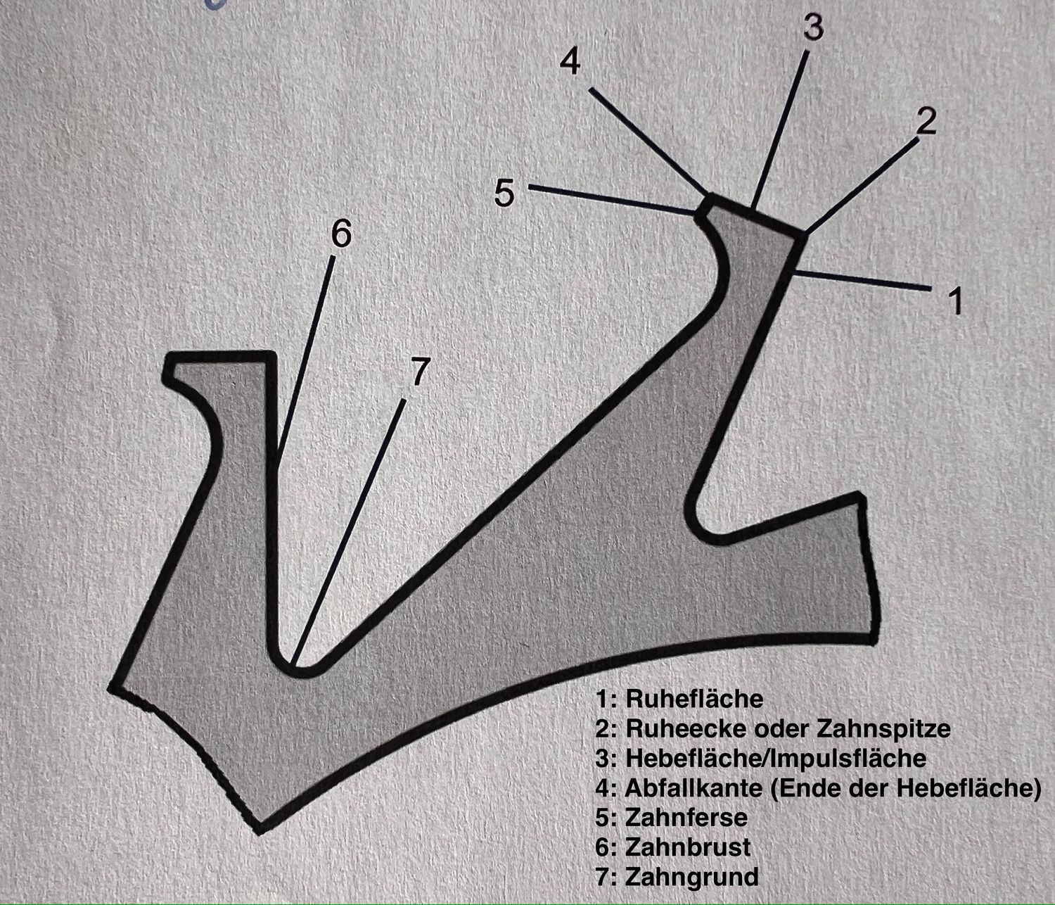 2. Bezeichnung der Flächen eines Ankerrades