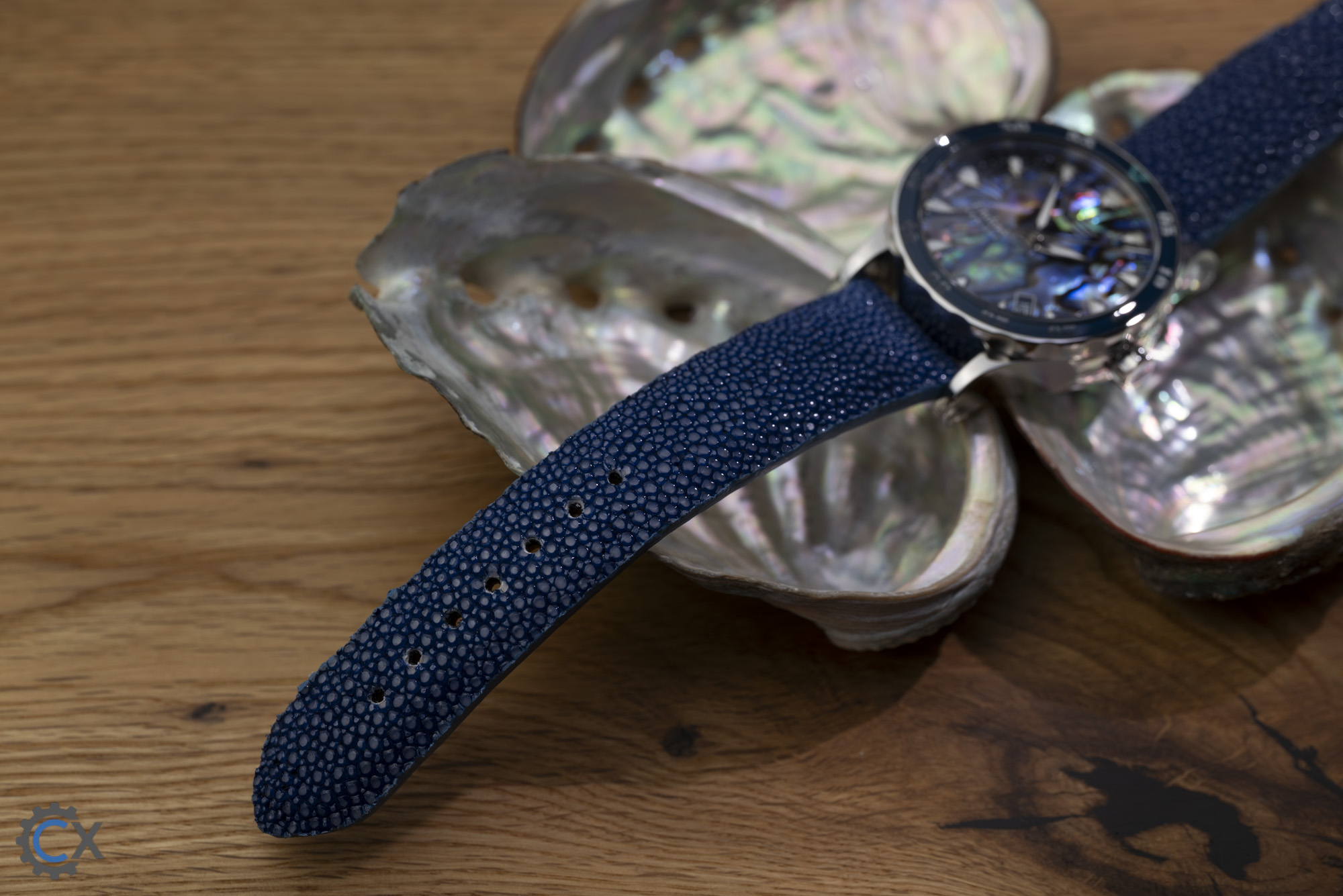 Vostok Europe Undine Lady Line P.Maier 1160463